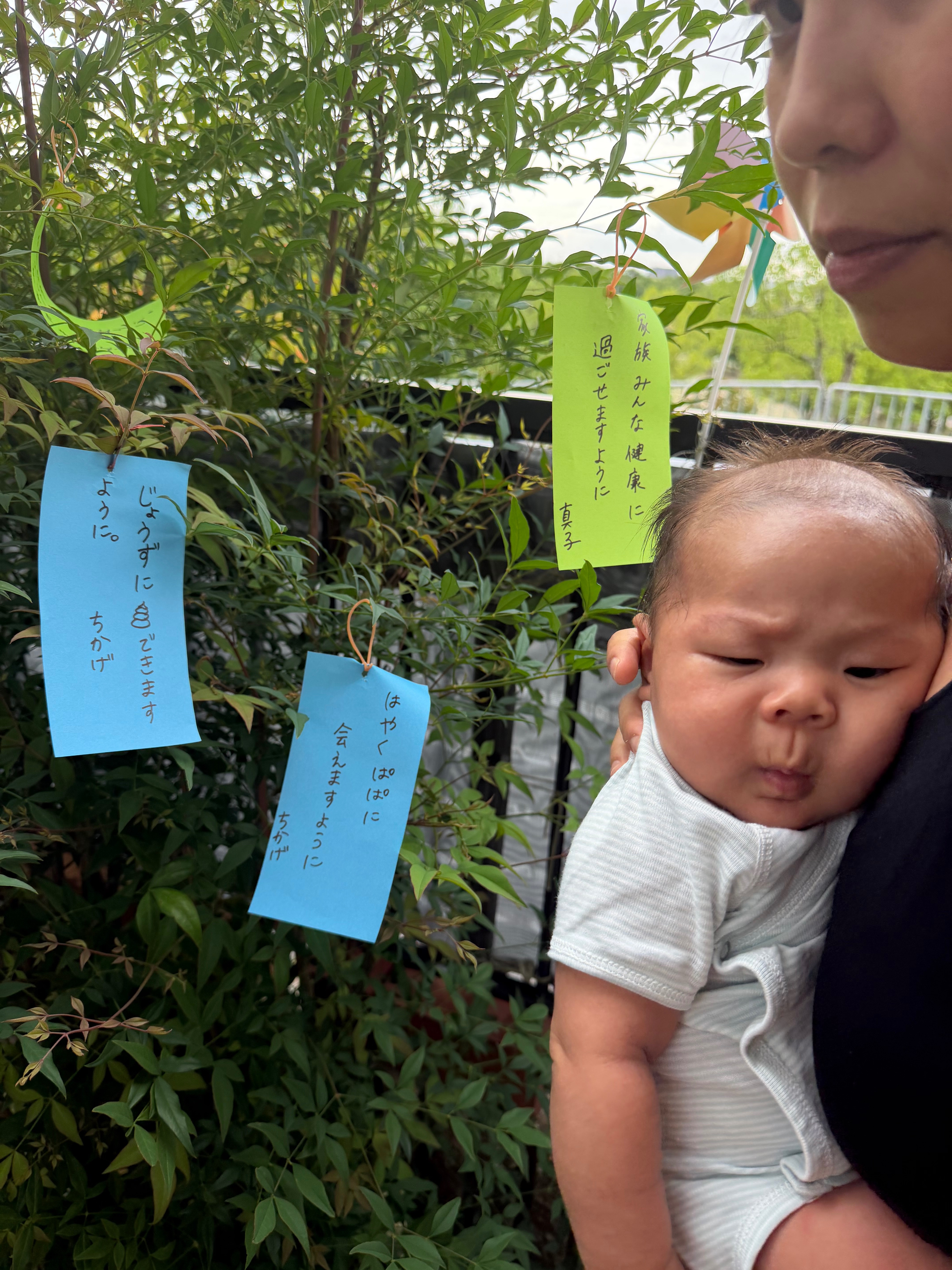 返信の写真 1 枚目